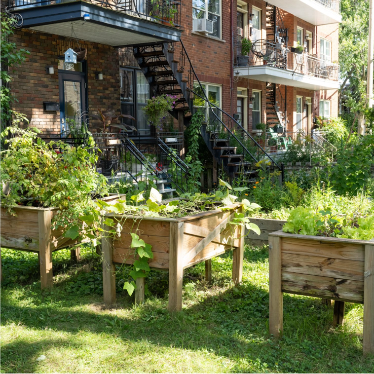 Pratiquer l'agriculture urbaine
